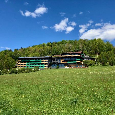 Natura Hotel Bodenmais - Inkl Soft- Und Heissgetraenkeflat 外观 照片